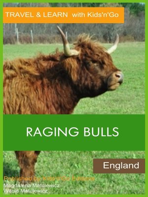 raging bulls 4s